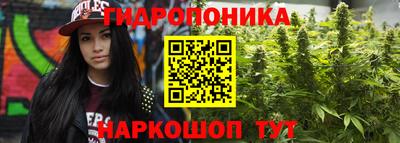 скорость Новокубанск
