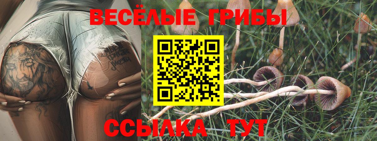 Псилоцибиновые грибы Psilocybine cubensis  Вход с VPN  наркошоп  Томск 