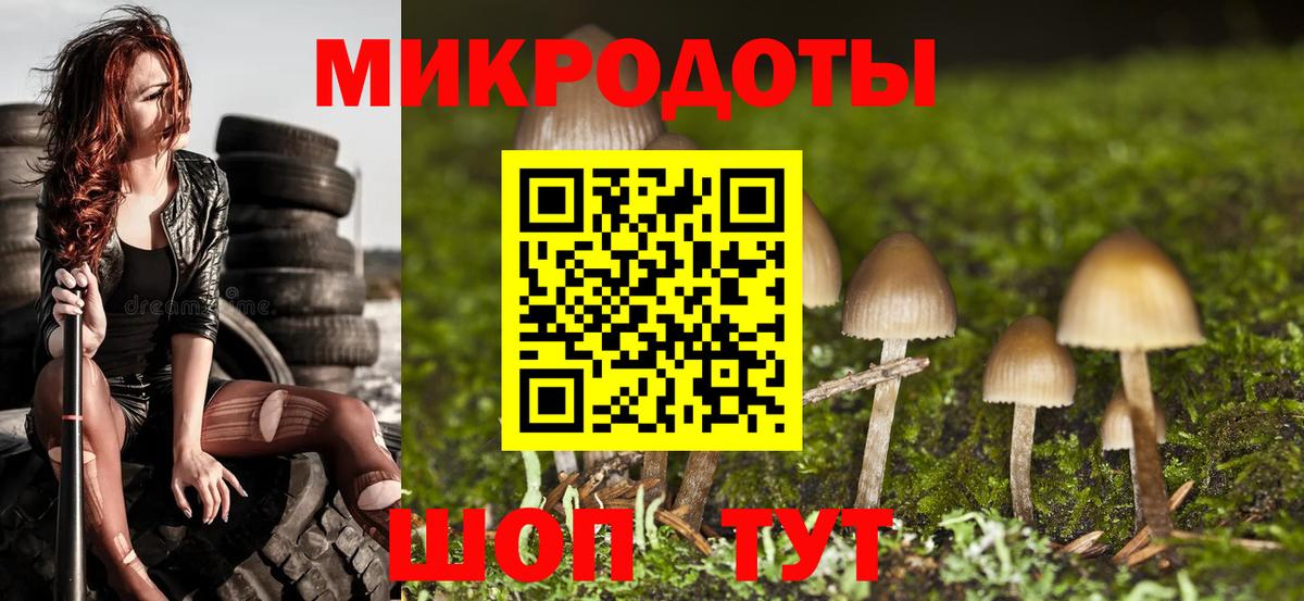 Галлюциногенные грибы мицелий Томск